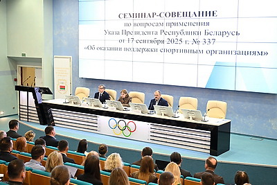 Механизм поддержки спортивных организаций обсудили в НОК