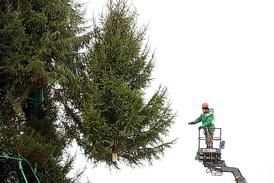Пиксельные панно и три километра гирлянд. В Витебске идет монтаж главной новогодней елки