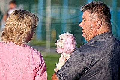 ФОТОХРОНИКА начинает новый информационный день