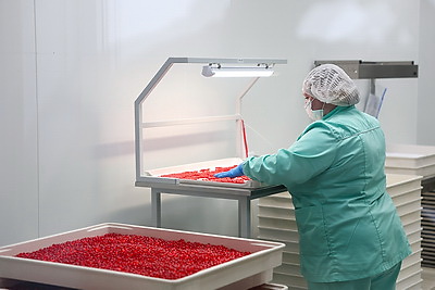 Объем производства фармпродукции в 2026-м превысит Br3 млрд