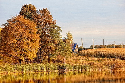 ФОТОХРОНИКА начинает новый информационный день