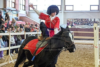 В Могилевском районе прошла международная выставка-шоу породистых лошадей "Осень-2025"