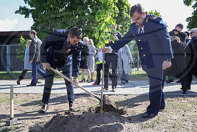 Аллею Памяти заложили возле Брестской крепости в честь 80-летия Победы