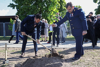Аллею Памяти заложили возле Брестской крепости в честь 80-летия Победы