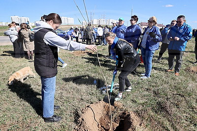 Аллея Памяти героев Великой Победы появилась в молодом микрорайоне Гродно