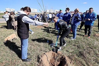 Аллея Памяти героев Великой Победы появилась в молодом микрорайоне Гродно