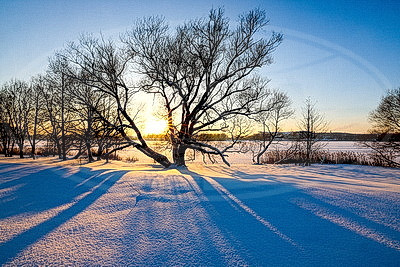 Зимний пейзаж