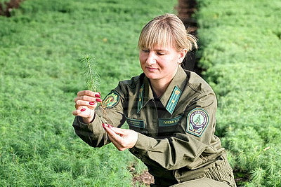 Лесхозы Беларуси начали осеннюю посадку леса