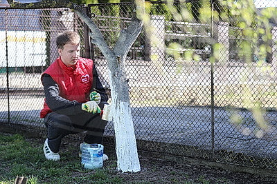 Акция "Тепло и свет нашим ветеранам" проходит в Минской области