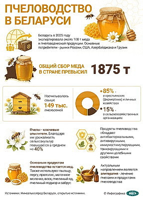 Инфографика. Пчеловодство в Беларуси