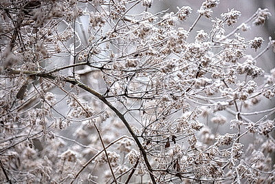 ФОТОХРОНИКА начинает новый информационный день