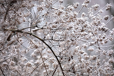 ФОТОХРОНИКА начинает новый информационный день