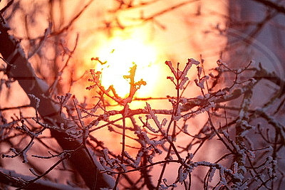 ФОТОХРОНИКА начинает новый информационный день