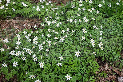 ФОТОХРОНИКА начинает новый информационный день