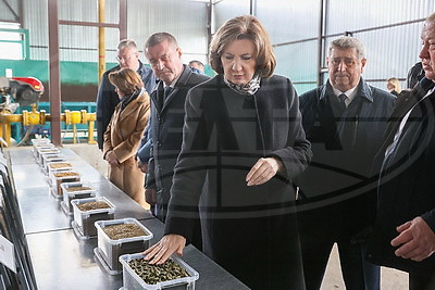 Кочанова ознакомилась с деятельностью ОАО "Парохонское"