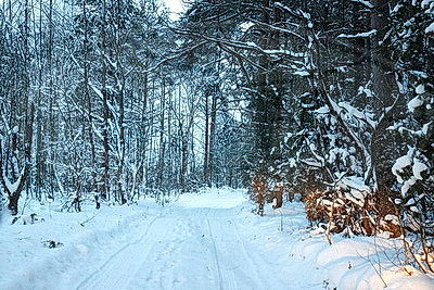 Зимний пейзаж в Докшицком районе