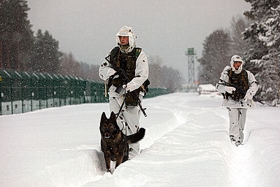 Пограничники несут службу по охране границы