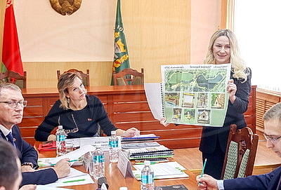 От "Библиобочки" до "Небесной дороги". Какие гражданские инициативы предлагают в Гомельской области