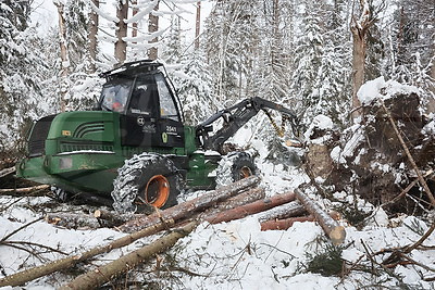 При разработке труднодоступных лесосек планируют заготовить около 600 тыс. куб.м древесины