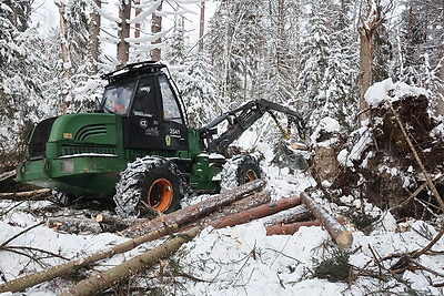 При разработке труднодоступных лесосек планируют заготовить около 600 тыс. куб.м древесины