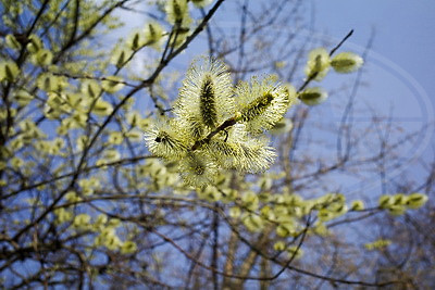 ФОТОХРОНИКА начинает новый информационный день