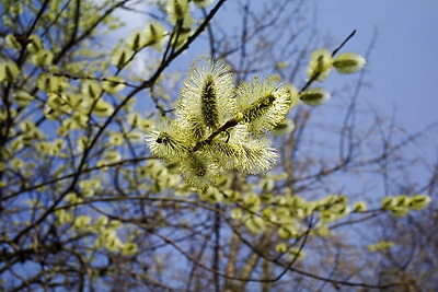ФОТОХРОНИКА начинает новый информационный день