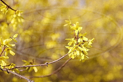 ФОТОХРОНИКА начинает новый информационный день