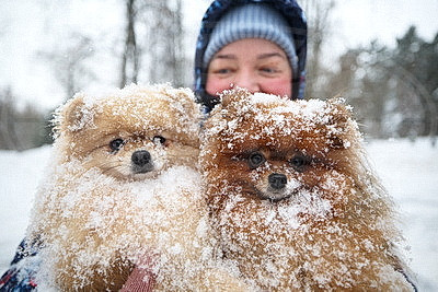 Морозный зимний день: снегопад не повод сидеть дома для активных жителей