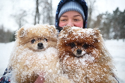 Морозный зимний день: снегопад не повод сидеть дома для активных жителей