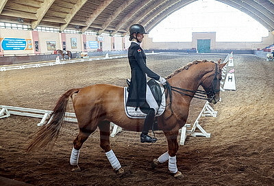 Олимпийские дни молодежи по выездке стартовали в Гомеле
