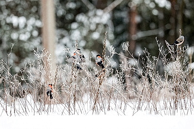 ФОТОХРОНИКА начинает новый информационный день