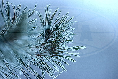 ФОТОХРОНИКА начинает новый информационный день