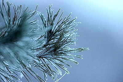 ФОТОХРОНИКА начинает новый информационный день