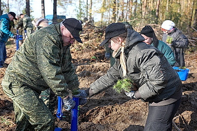 К акции "Дай лесу новае жыццё!" присоединились представители Брестского облисполкома