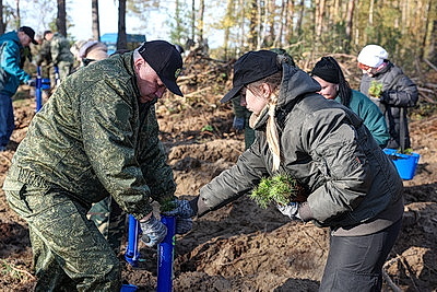 К акции "Дай лесу новае жыццё!" присоединились представители Брестского облисполкома