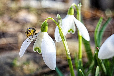 ФОТОХРОНИКА начинает новый информационный день