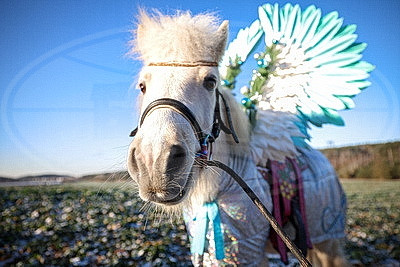 ФОТОХРОНИКА начинает новый информационный день