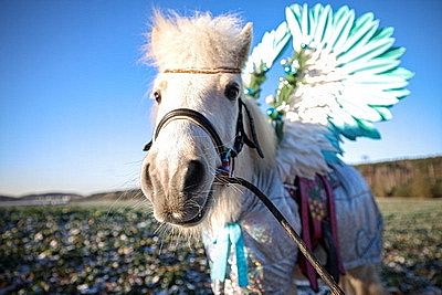 ФОТОХРОНИКА начинает новый информационный день