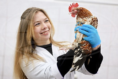 Какие качества нужны будущему ветеринару, рассказала студентка Витебской ветакадемии и продолжатель семейной династии