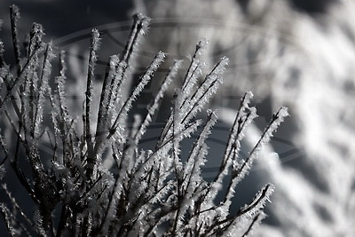 ФОТОХРОНИКА начинает новый информационный день