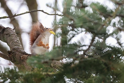 ФОТОХРОНИКА начинает новый информационный день