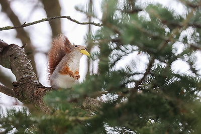 ФОТОХРОНИКА начинает новый информационный день