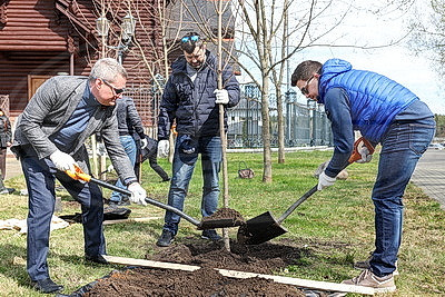 Аллея к 25-летию ШОС заложена в Минске