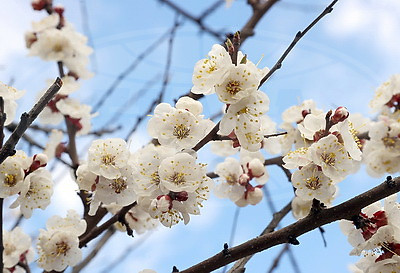 ФОТОХРОНИКА начинает новый информационный день