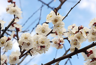 ФОТОХРОНИКА начинает новый информационный день