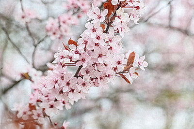 Яркие краски брестских улиц