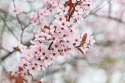 Яркие краски брестских улиц