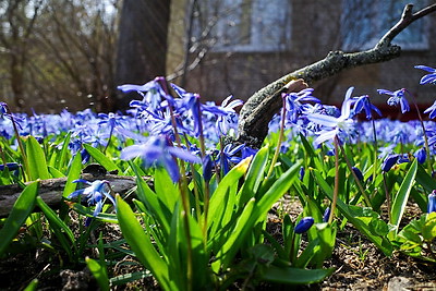 ФОТОХРОНИКА начинает новый информационный день