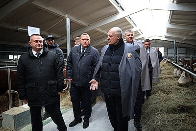 Лукашенко ознакомился с развитием мясного скотоводства и молочной отрасли