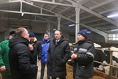 Как содержат телят в МТК "Лошница"? Хозяйство проверил премьер-министр
